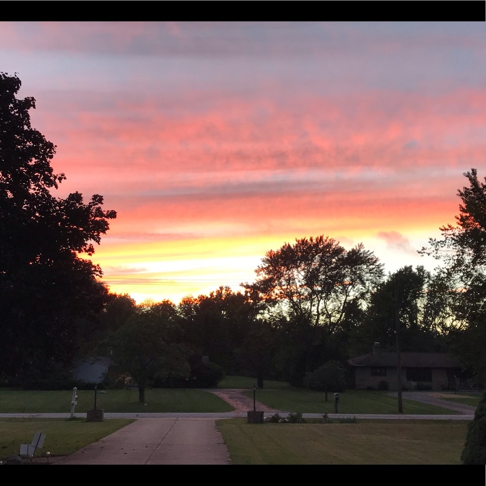 Meet your Posher, Holli